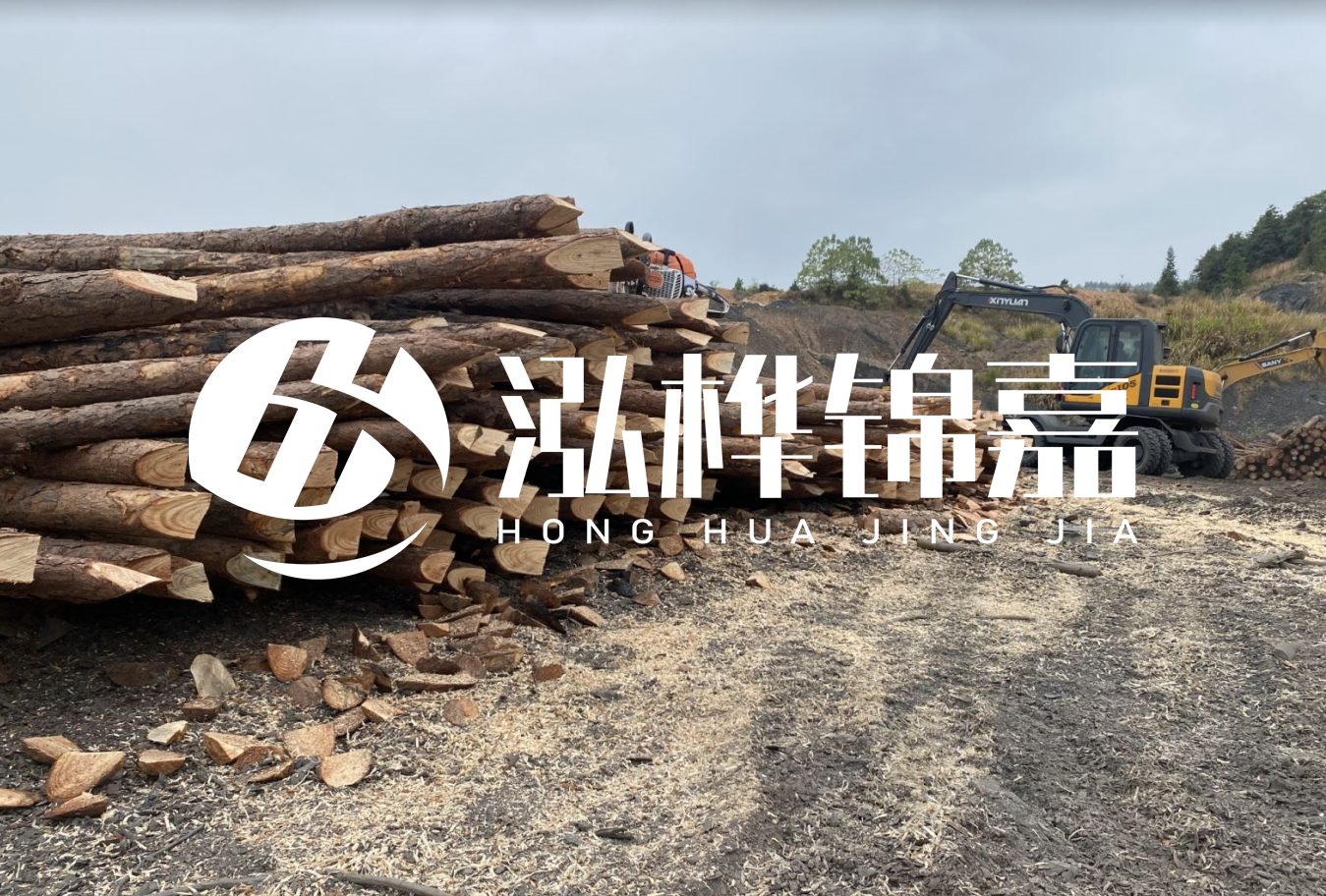 松木樁尾徑是什么意思？