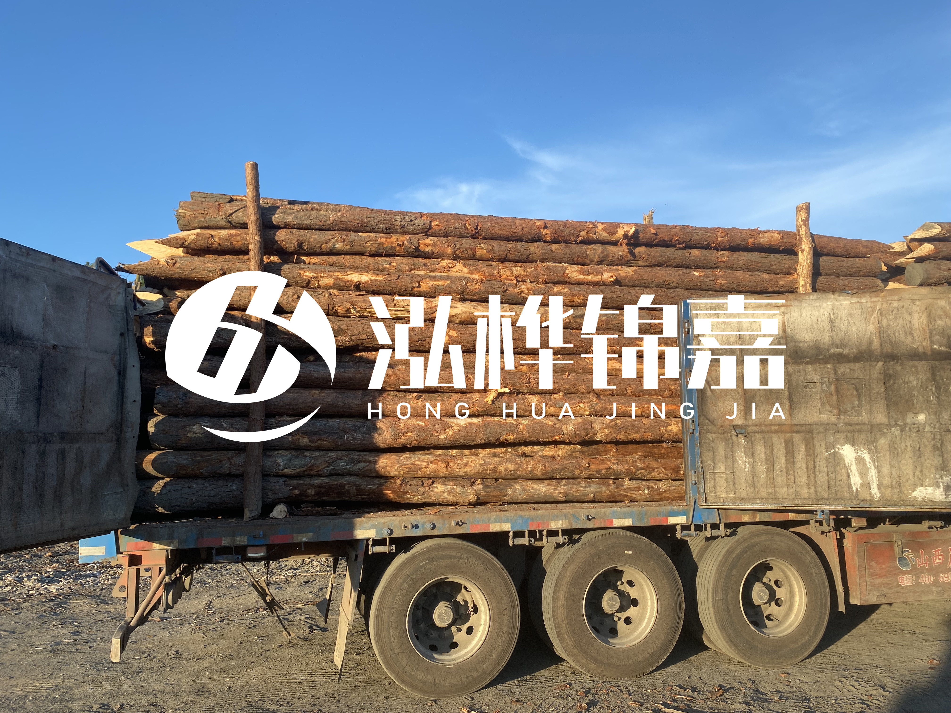 河道治理為什么要用松木樁？
