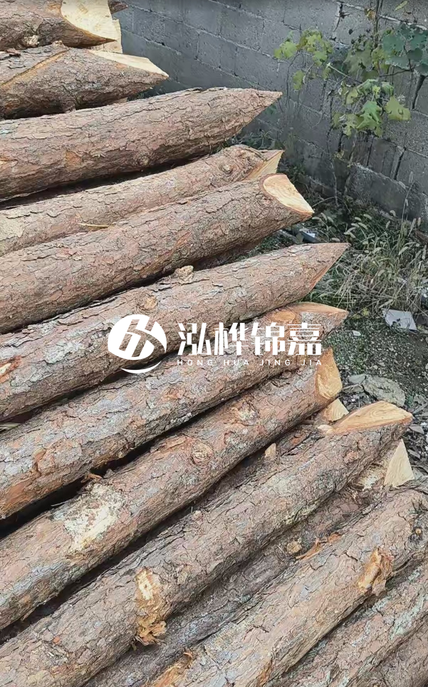 松木樁哪里能大量供應(yīng)？4米20公分松木樁價格是多少？