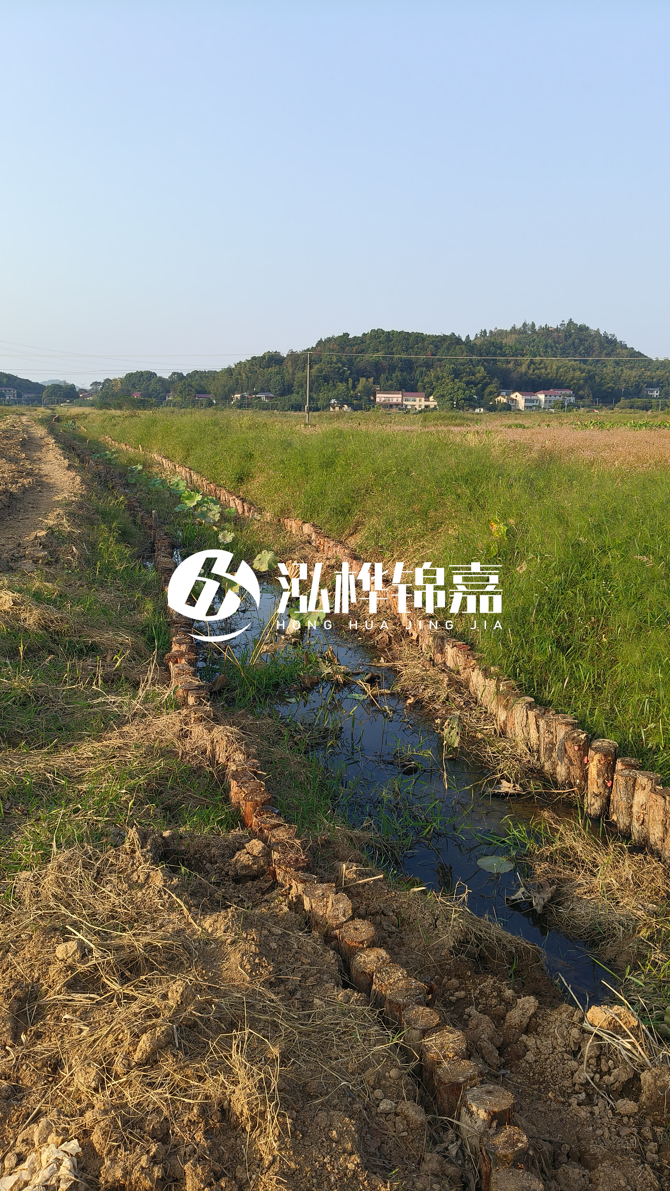 河道護(hù)坡打木樁的目的全解析：你知道幾個(gè)？
