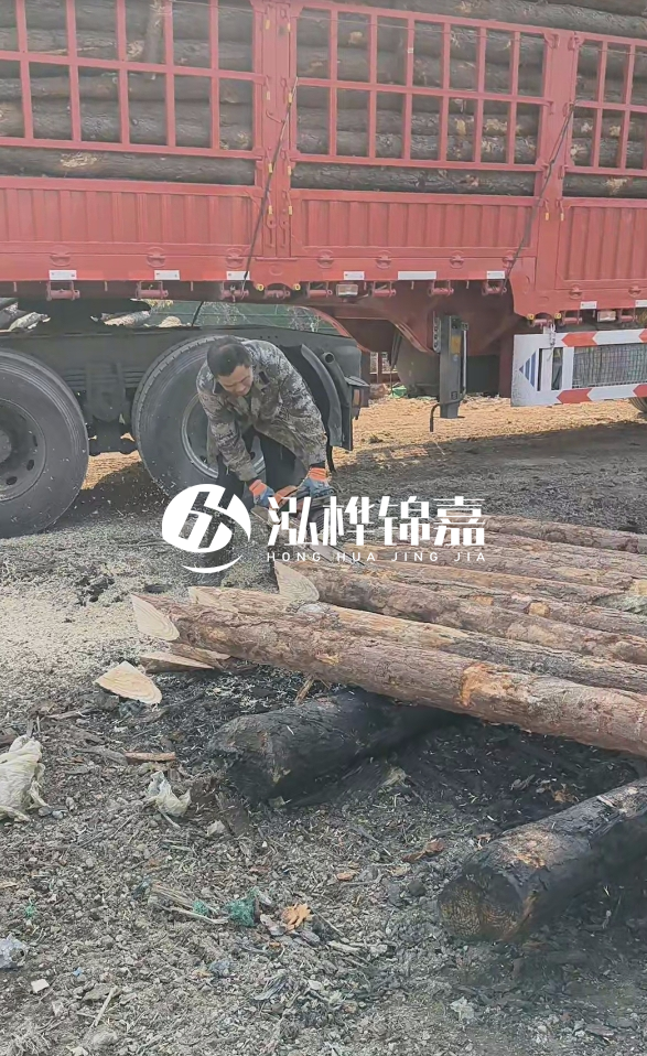 2米松木樁多少錢一根？15-20CM直徑價格是多少？