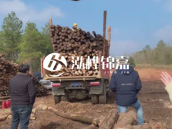防腐木樁價格比普通木樁貴多少？防腐木樁有哪些處理方式？