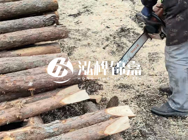 杉木樁批發(fā)廠家哪家好？產(chǎn)地直供渠道推薦！
