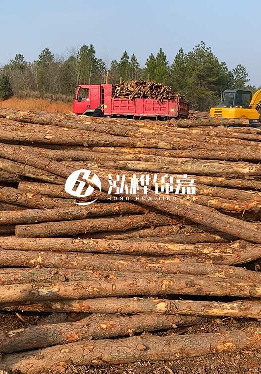 8米小頭11-13CM的松木樁價格是多少？打樁施工怎么算？
