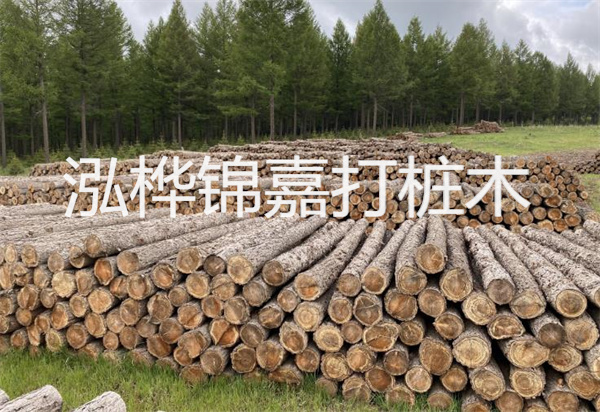 松木樁能施工嗎？探究視頻揭秘真相！