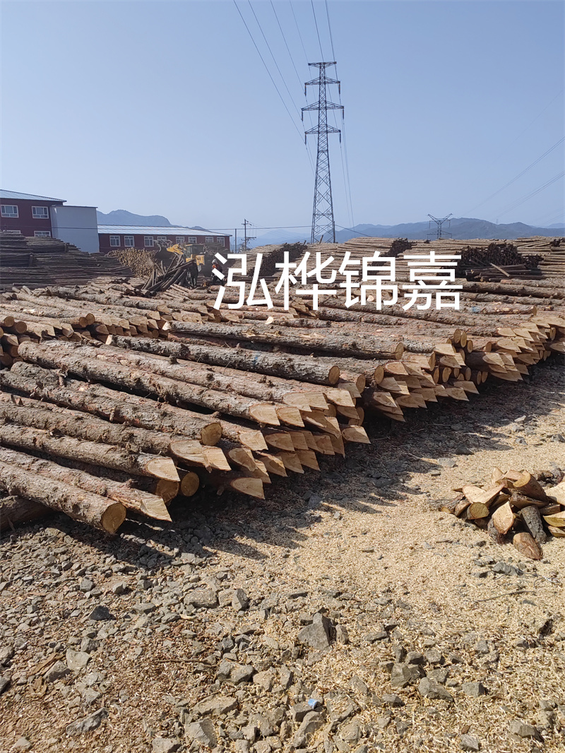 深入了解松木樁基礎(chǔ)施工單價(jià)，助力工程建設(shè)順利進(jìn)行！