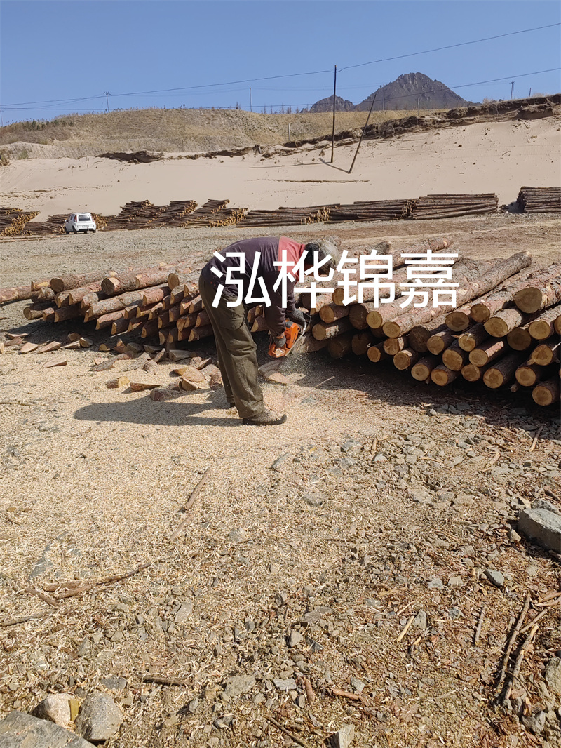 松木樁駁岸施工，打造水上風(fēng)景線