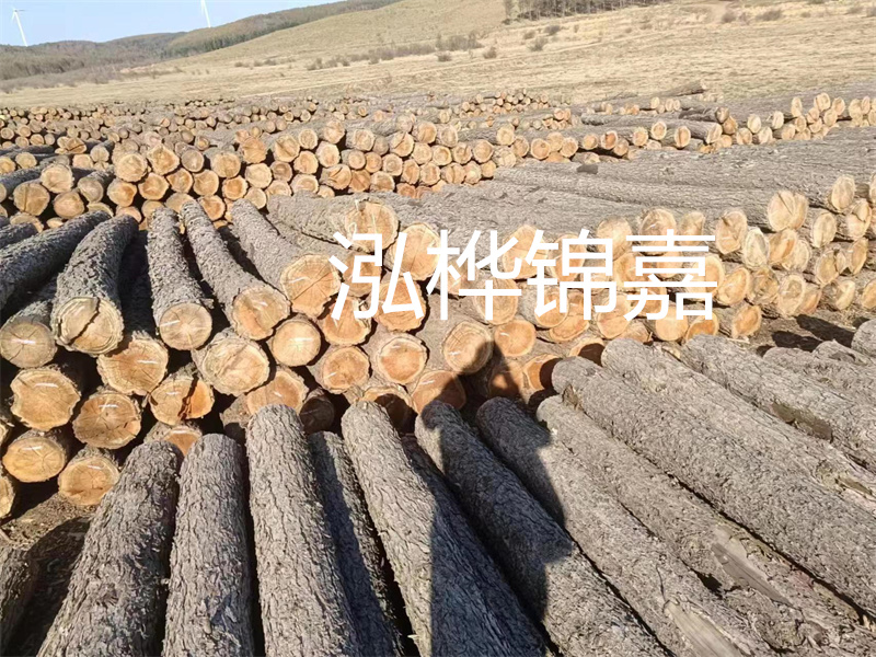 選擇合適的路緣石尺寸，打造美麗道路