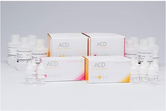 BaseScope Reagent Kit v2-RED